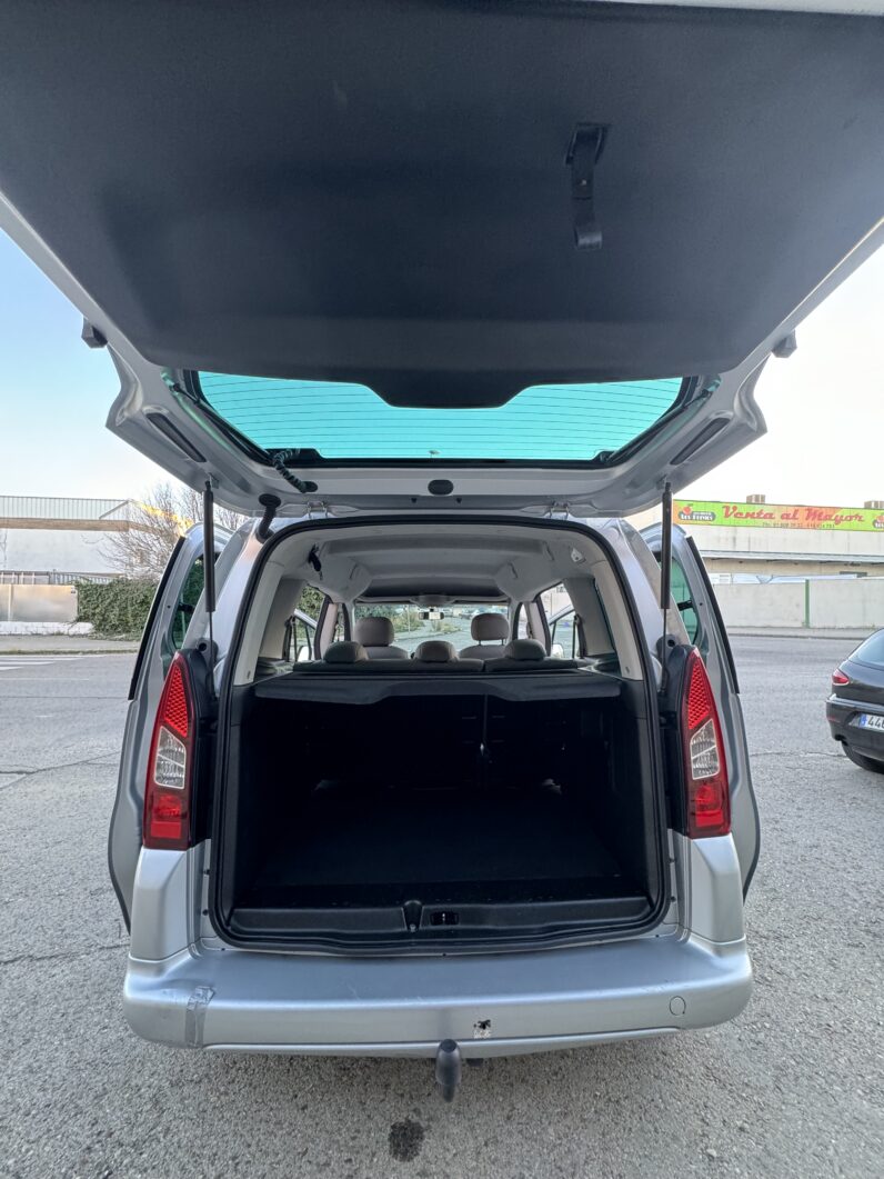 
								CITROEN Berlingo Multispace FEEL BlueHDi 100 completo									